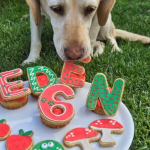 Full Name Letters & Pupcakes