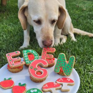 Name Your Name Biscuits