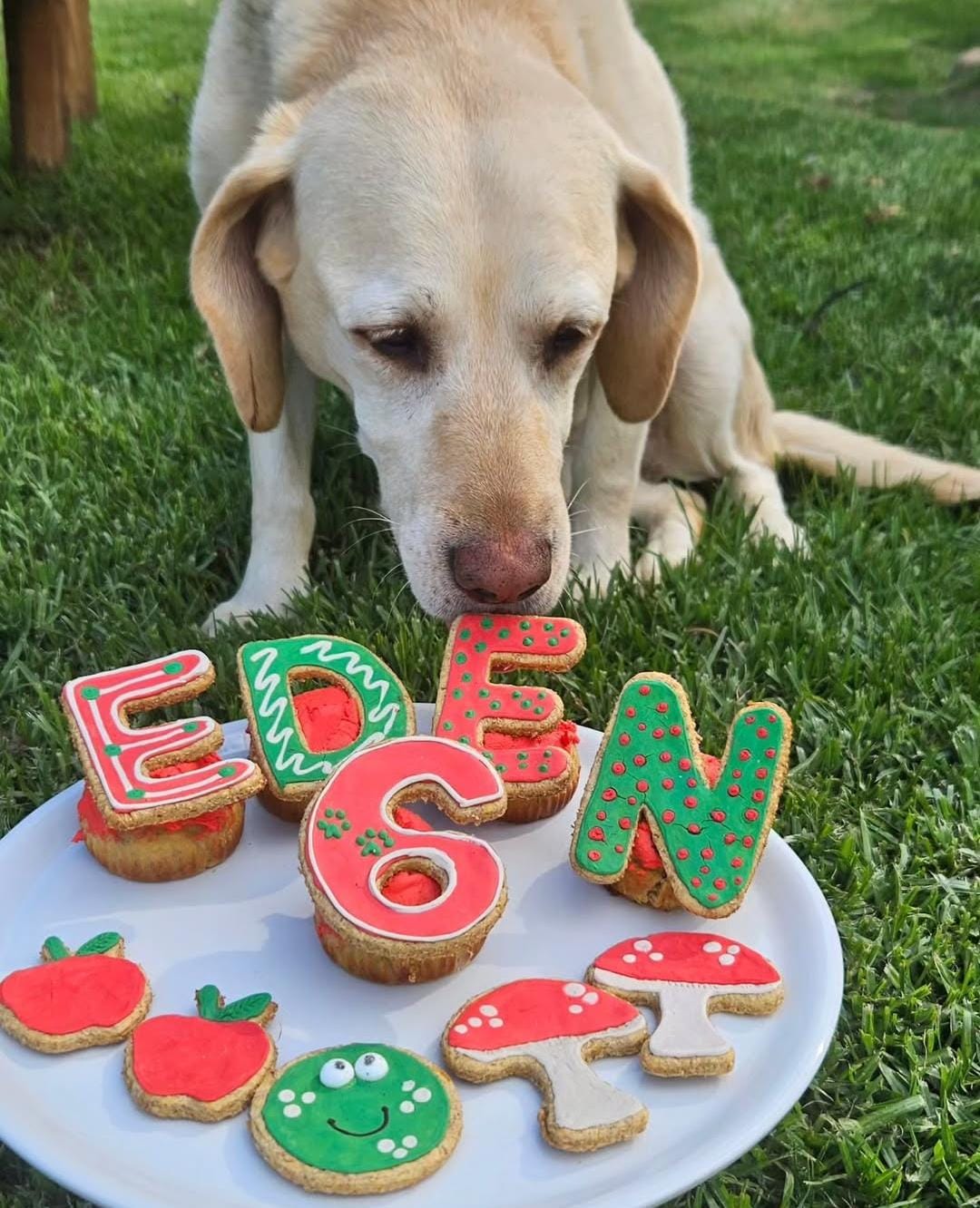 Name Your Name Biscuits