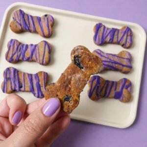 Blueberry Oat Biscuits