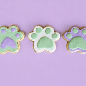 Pack of XL Paw Biscuits